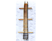 ����Ա����